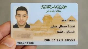 أنواع متعددة.. تعرف على أسعار استمارة بطاقة الرقم القومي لعام 2025 وطريقة استخراجها إلكترونيًا بسهولة